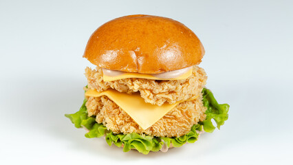 Burger isolated close up