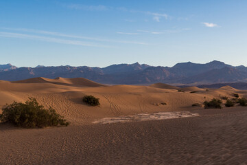 Footprint Tracks Across Sand Dunes with Creosote and Distant Mountains, Mesquite Flat Sand Dunes, Death Valley National Park