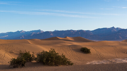 Footprint Tracks Across Sand Dunes with Creosote and Distant Mountains, Mesquite Flat Sand Dunes, Death Valley National Park