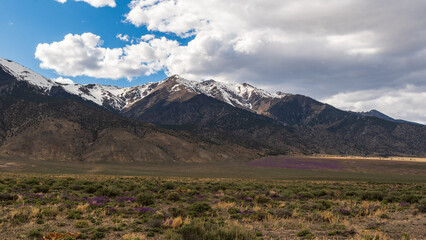 Nevada mountain landscape with snow patches, desert flora, under partly sunny sky.