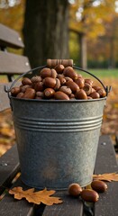 Acorns in a metal bucket on wooden bench in autumn park  