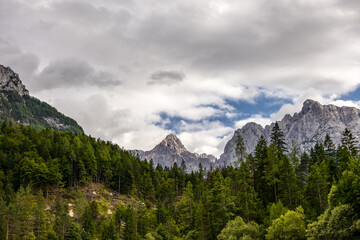 panoramic mountain landscape with dense green pine forest under cloudy sky. cloudy weather in the mountains. mountain peak view trough