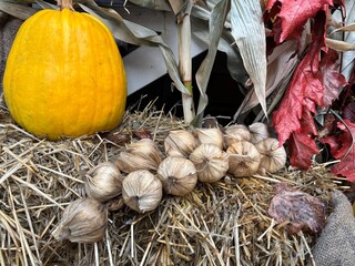 pumpkins and flowers