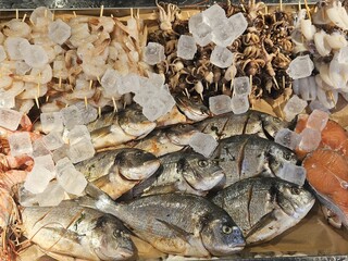 Fresh seafood on ice at the fish market