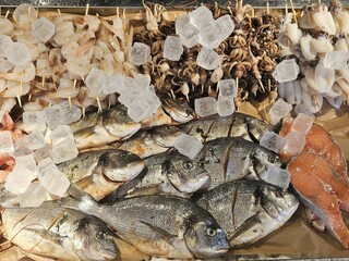Fresh seafood on ice at the fish market