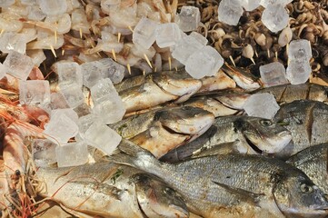 Fresh seafood on ice at the fish market