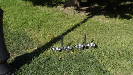 Metal bowls with water for dogs in a city park on the lawn