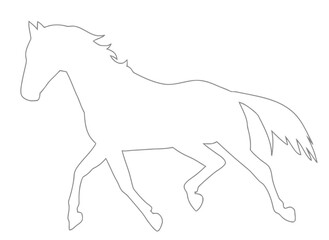 horse, silhouette, outline, running, animal, mammal, equine, wild, freedom, speed, movement, action, gallop, isolated, white background, grey, graphic, illustration, vector, profile, side view, mane, 