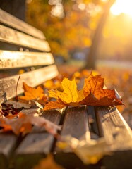 Autumnal park bench, fallen leaves bathed in golden sunlight