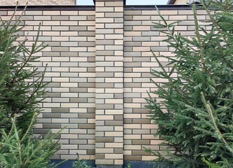 Brick fence with evergreen trees for home garden privacy design