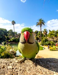 Close-up of a vibrant green parrot perched on a stone wall in a sunny park.  Park scene in background