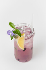 Cooling blueberry lemonade beverage with botanical garnish
