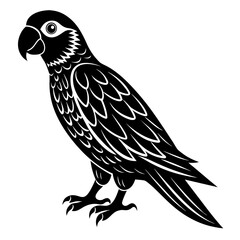vector illustration of a bird