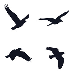 A flock of birds in flight against a white backdrop silhouette