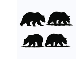 Fototapeta premium Two bears walking and one foraging a striking black silhouette