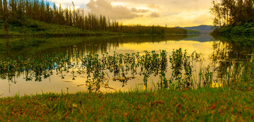 Ooty Lake, seen from the serene Pine Forest, reflects misty hills, lush greenery, and offers boating amid the Nilgiri charm