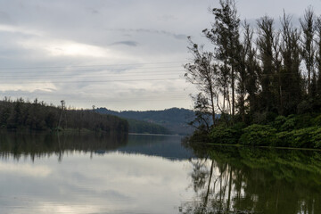Ooty Lake, seen from the serene Pine Forest, reflects misty hills, lush greenery, and offers boating amid the Nilgiri charm
