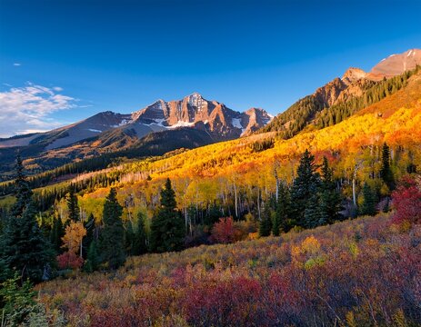 late afternoon light on the fall colors up the slopes of the sneffels range of the san juan mountains as seen from the dallas divide near ridgway colorado usa - Powered by Adobe