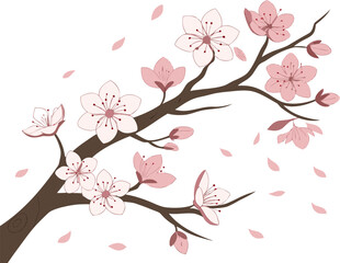 Cherry Blossom Branch with Falling Petals | Japanese Cherry Blossom Petals Illustration