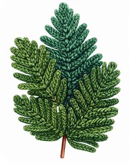 Botanical Illustration of a Green Pine Branch with Needle Clusters on White Background