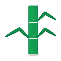 Green bamboo stalk with leaves plant