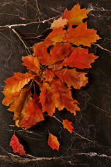 Autumn abstract composition with maple leaves on bright seasonal background, still life and Thanksgiving concept, screen banner and design template, greeting card and greeting, hello autumn.