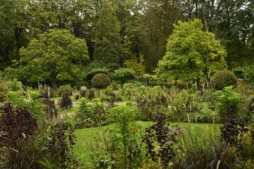 Les variétés de plantes du jardin en automne au parc de la Dodaine à Nivelles (Brabant Wallon)
