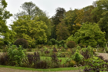Les variétés de plantes du jardin en automne au parc de la Dodaine à Nivelles (Brabant Wallon)