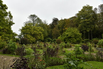 Les variétés de plantes du jardin en automne au parc de la Dodaine à Nivelles (Brabant Wallon)