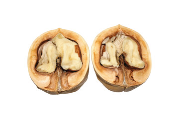 Open walnut on a white isolated background