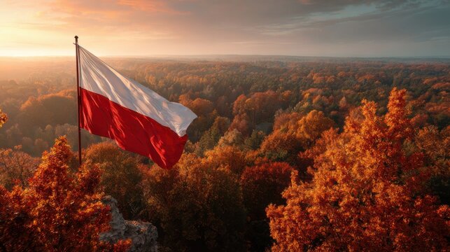 Polish flag waving over autumn forest during sunset, showcasing vibrant colors and natural beauty - Powered by Adobe