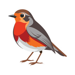 American Robin bird vector illustration
