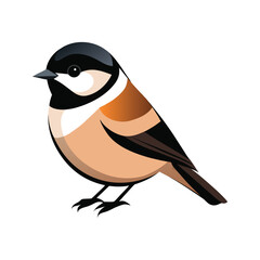 Black Capped Chickadee birds vector illustration