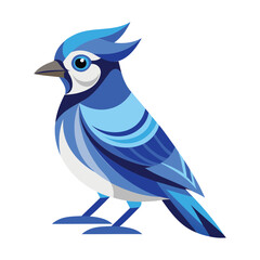 Blue Jay birds vector illustration