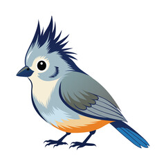 Tufted titmouse birds vector illustration