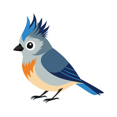 Tufted titmouse bird vector illustration