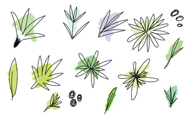 Botanical leaf doodle art, Green nature sketch set, Hand-drawn plant design