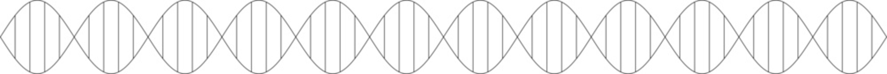 DNA double helix vector (2D line art, symmetrical, PPT-compatible & fully editable) © Terry