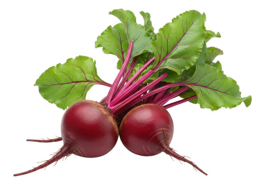 Two fresh red beets with green leaves isolated on transparent background, healthy root vegetable PNG for cooking and vegetarian recipes - Powered by Adobe