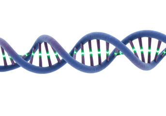 Blue DNA molecule isolated on transparent background, genetic code structure for science and medical research in PNG format