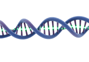 Blue DNA molecule isolated on transparent background, genetic code structure for science and medical research in PNG format