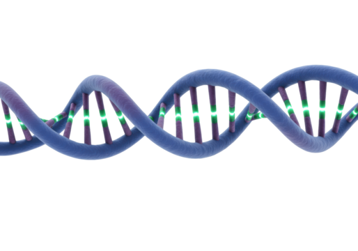 Blue DNA molecule isolated on transparent background, genetic code structure for science and medical research in PNG format