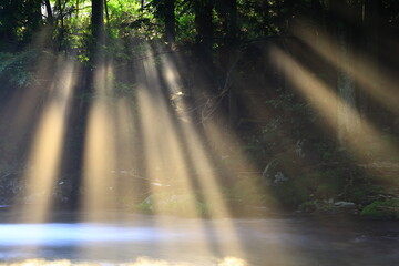 Obraz premium 光さす夏の渓流