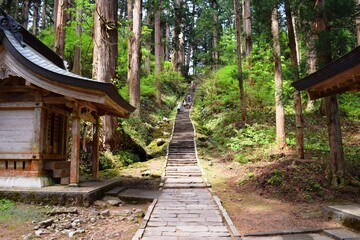羽黒山の杉並木 三ツ星認定地 山形県鶴岡市