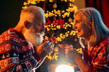 Warm Christmas Eve moment with an elderly couple sharing tea indoors beside a lit Christmas tree in...