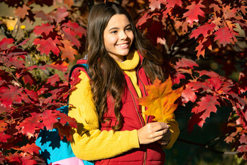 cheerful child with backpack on autumn leaves background