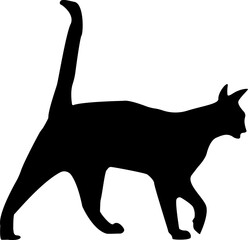 A balanced cat walks confidently into the night, tail held high and blending into the darkness.