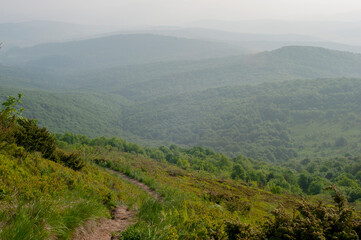 Obraz premium Beautiful mountain valleys and mountains on a bright sunny day against the backdrop of wide forests.