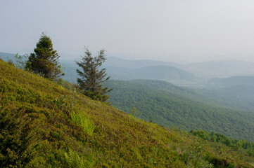 Beautiful mountain valleys and mountains on a bright sunny day against the backdrop of wide forests.