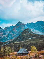 Hala Gasiennicowa Valley in Polish Tatras - Tatra Mountains